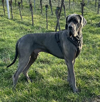 Blue Note from Milamo-B