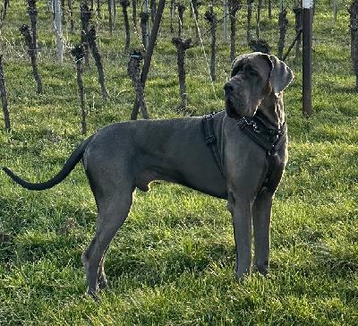 Blue Note from Milamo-B