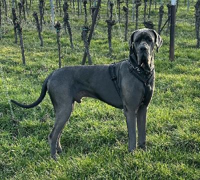 Blue Note from Milamo-B