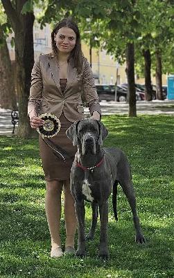 Viva la Vida Vom Hause Wagner