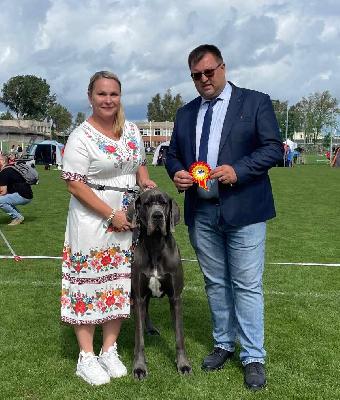 Viva la Vida Vom Hause Wagner