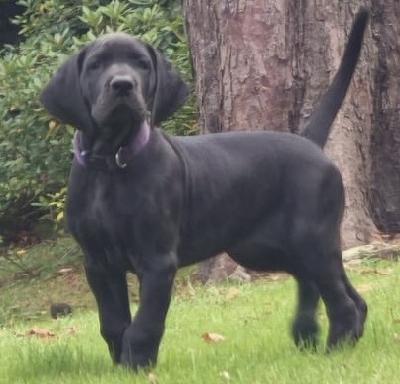 Else vom alten Zigeunerbahnhof