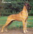 Ch Bernie De La Chatellerie