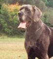 Ch Le Roy Des Terres De La Rairie