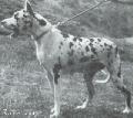 Cora Von Der Nurburg