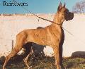 Ch Raphale Des Terres De La Rairie