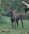 Ch Faritchou Des Terres De La Rairie