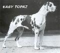 Easy Topaz