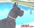 Airbag De Casalbero