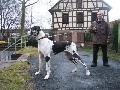 Pavlov Von Schlesien