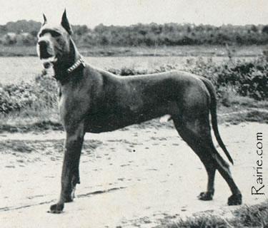 Ferro Aus Dem Winkel