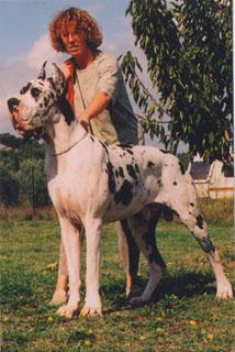 Ch Ugo De Can Duran