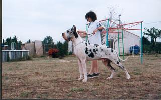 Ch Ugo De Can Duran