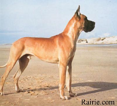Scipion De La Chatellerie