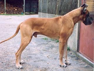 Djebel De La Pierre Du Roy