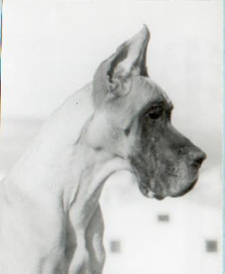 Tifanny De La Pierre Du Roy