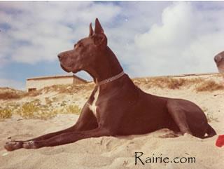 Ch Raya De La Templerie