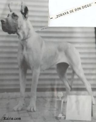 Zoraya De Don Diego
