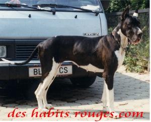 Orionia Des Habits Rouges