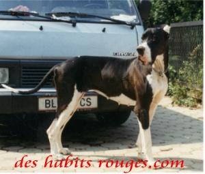 Orionia Des Habits Rouges