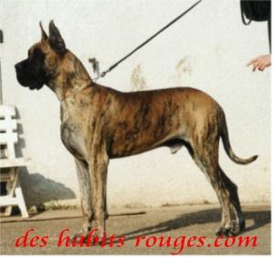 Pas De Doute Des Habits Rouges
