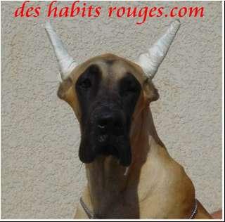 Sayonara Des Habits Rouges