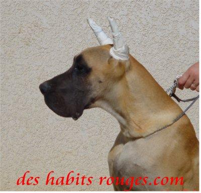 Shiva Limplacable Des Habits Rouges