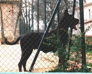 Ch Belladone Des Terres De La Rairie
