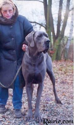 Ch Le Roy Des Terres De La Rairie