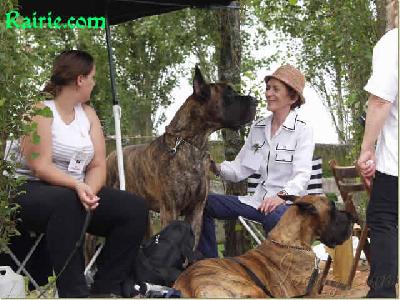 Ch Oneal Des Terres De La Rairie