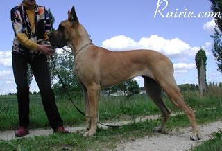 Ragazza Des Terres De La Rairie