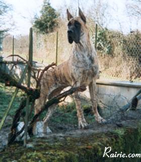Reldresale Des Terres De La Rairie