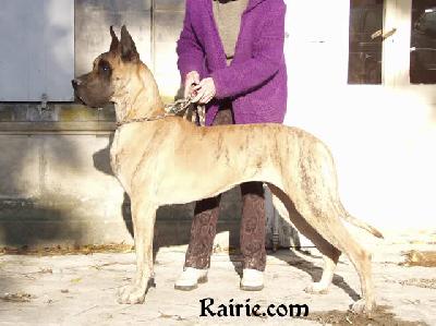 Renata Des Terres De La Rairie