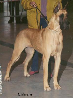 Ch Rosire Des Terres De La Rairie