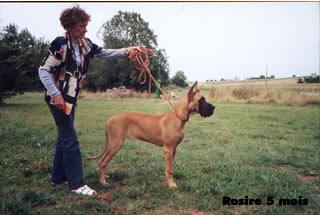 Ch Rosire Des Terres De La Rairie