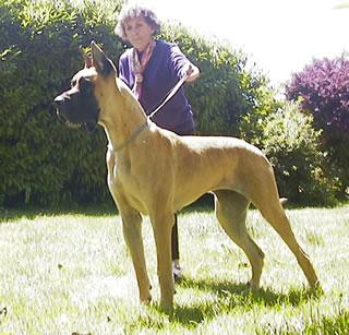 Ch Rosire Des Terres De La Rairie