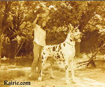 Ch Orlow Du Domaine De Lempereur