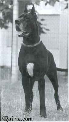 Helodie Du Val De Lamitie