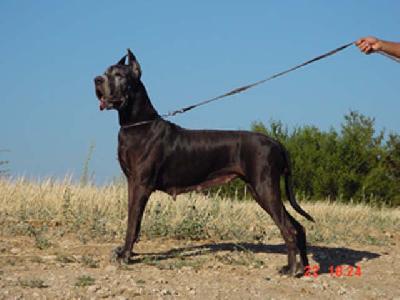 Melodie Du Val De Lamitie