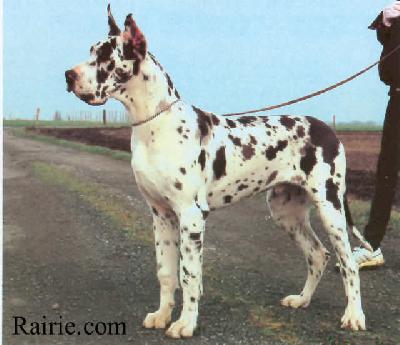 Kentucky Imperial