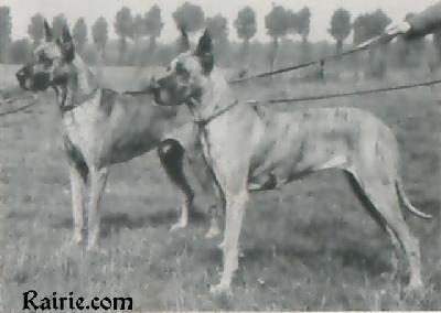 Candra Parzival