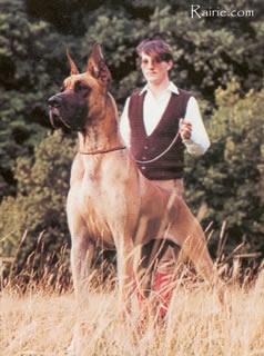 Kruschenka Von Hospodar