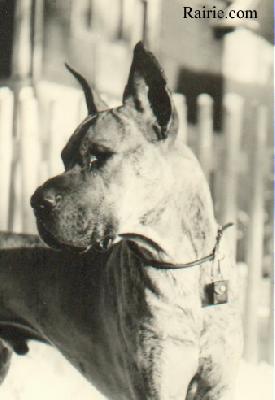 Basko Von Achalm
