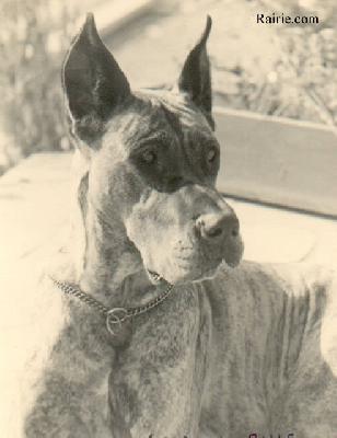 Alexa Von Der Bille