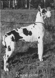 Lloyd Von Der Flottbek