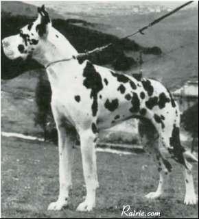 Lord Von Der Nurburg