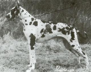 Nurmi Von Der Nurburg