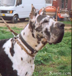 Uran Von Der Nurburg