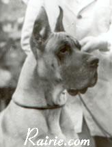 Elgo Von Ferndorftal