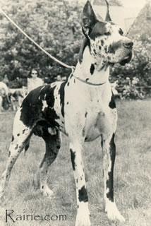 Rondo Von Flottbek